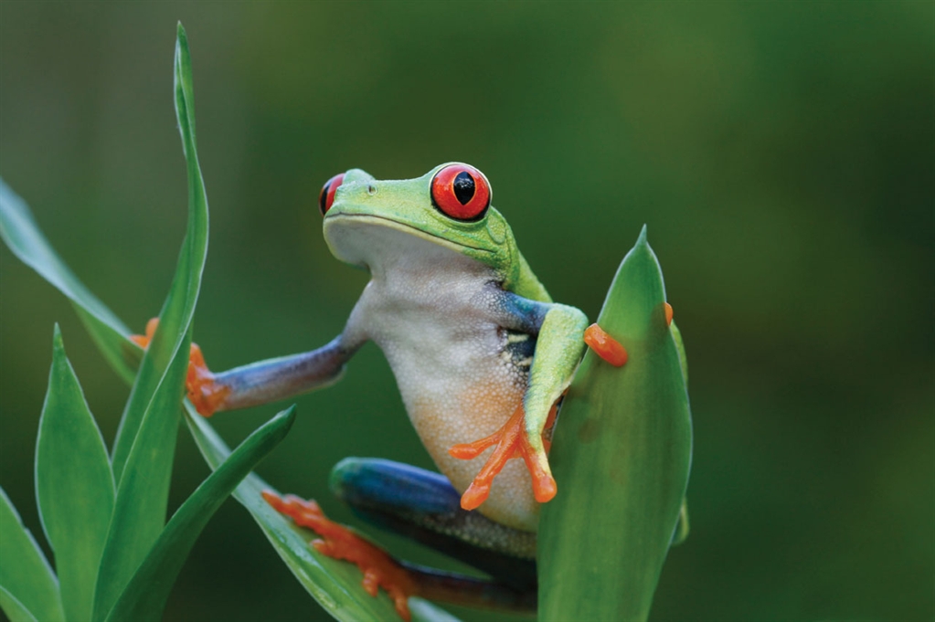 Costa-Rica-Turismo-Accesible