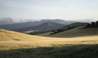 Camino de Santiago accesible en silla de ruedas