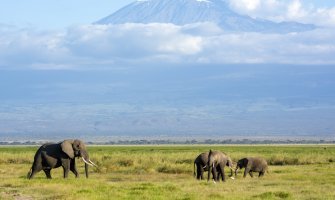 Kenia accesible en silla de ruedas