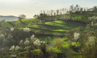 Viaje a Transylvania en silla de ruedas